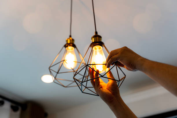 Best Electric Panel Repair  in Cobb Island, MD